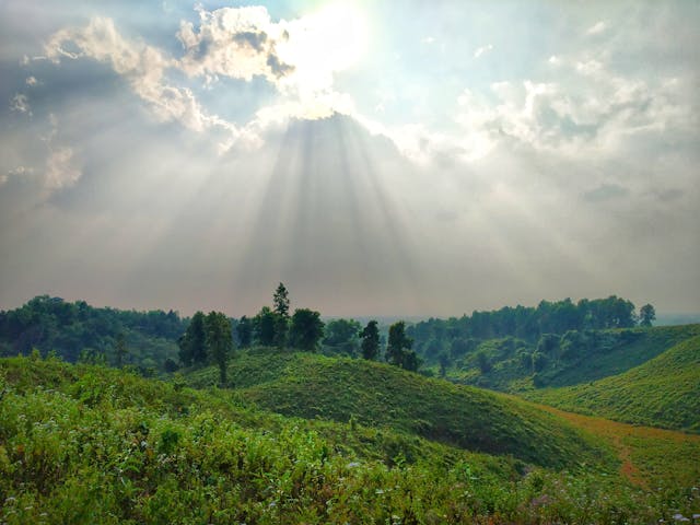 featured image